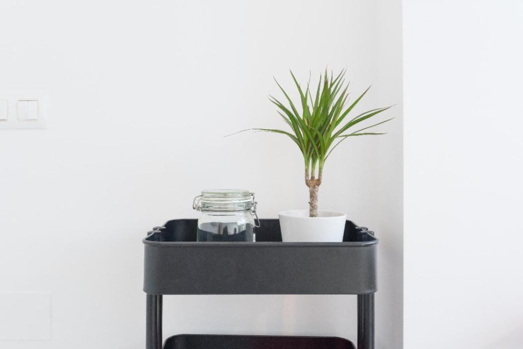 Hygge Apartment Center Near To The Beach Free Parking 2R Málaga Buitenkant foto